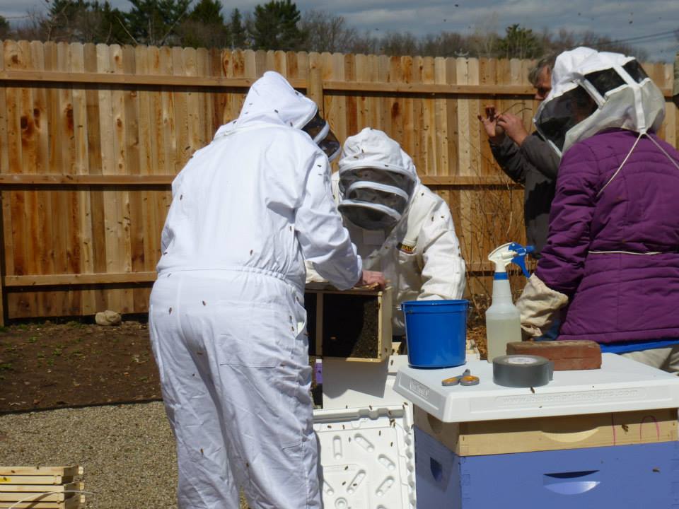 beekeepers Rutgers Master Gardeners of Essex
